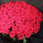 Дон Жуан XL (101 роза,  60 см)