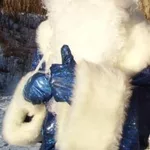 Деде Мороз и Снегурочка! 