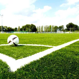 Искусственная трава – идеальное решение для спортивных школьных и детс
