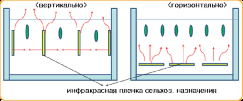 Отопительная инфракрасная универсальная пленка  (Ю.Корея)    5