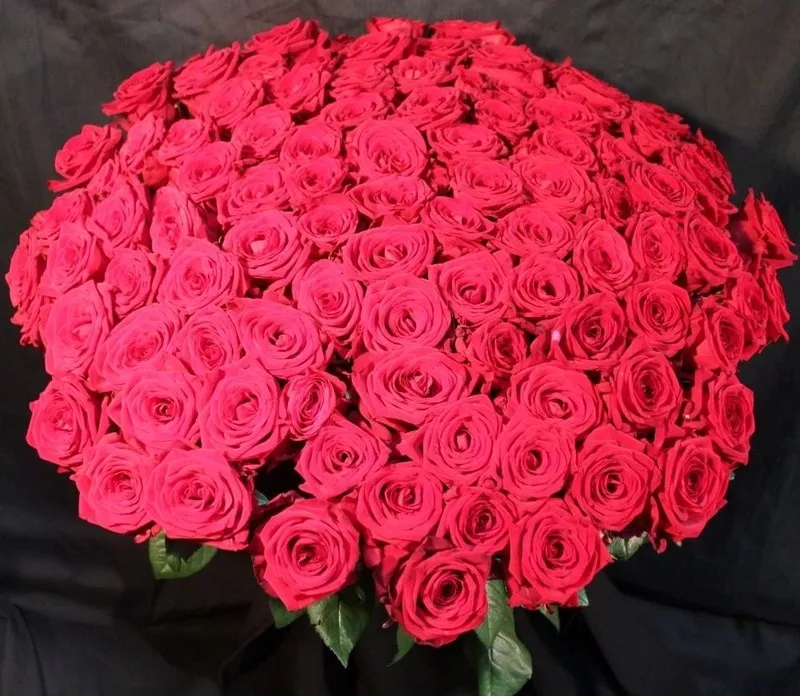 Дон Жуан XL (101 роза,  60 см)