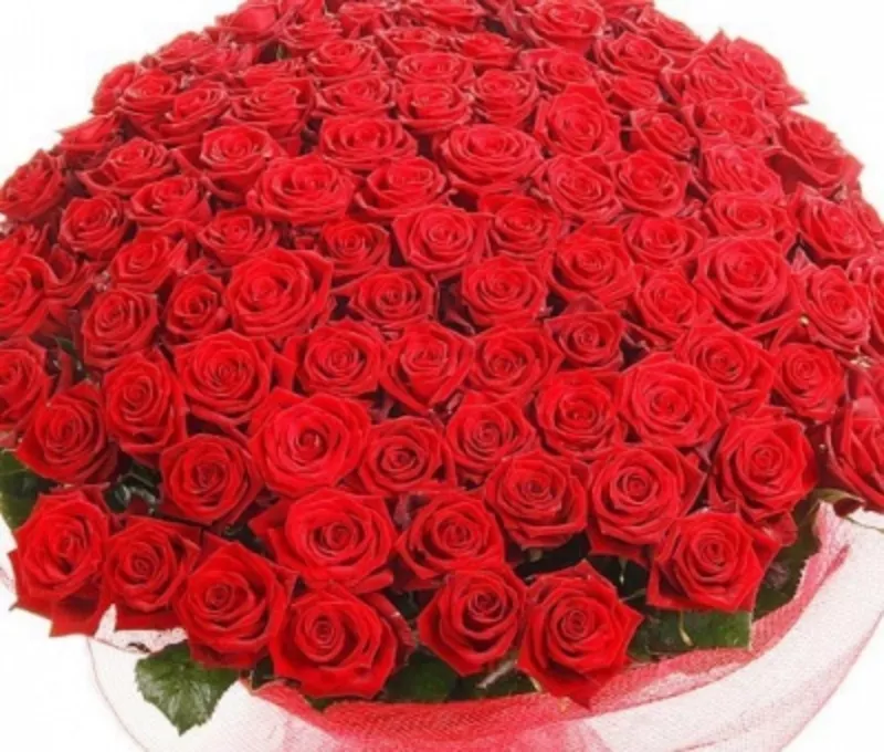 Любимый (151 роза 60см )